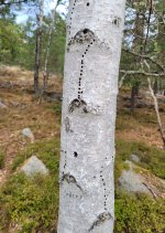 Space invaders på järnåldern..jpg