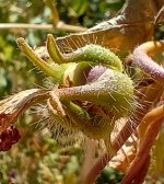 IMG_20240928_140311319_HDR (1).jpg