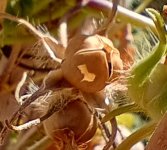 IMG_20240928_140325432_HDR (1).jpg