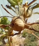 IMG_20240928_140406230 (1).jpg IMG_20240928_140406230 (1).jpg