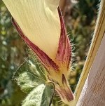 IMG_20240928_140516571_HDR (1).jpg