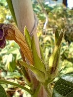 IMG_20240928_140740513_HDR (1).jpg