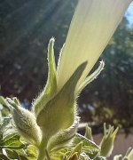 IMG_20240928_140847760_HDR (1).jpg