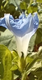 IMG_20240928_140918840 (1).jpg