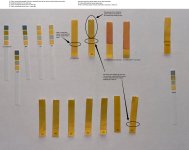 Reclaim Solvent - 2024-10-01.jpg