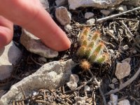 IMG-20241009.jpg IMG-20241009.jpg