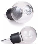 IMG_1475.jpeg IMG_1475.jpeg