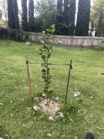 IMG_8491.jpeg