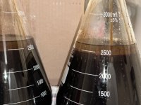 IMG_4803.jpeg IMG_4803.jpeg