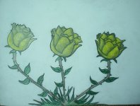 post-5704-1234544999.jpg post-5704-1234544999.jpg