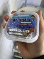 IMG_6036.jpeg IMG_6036.jpeg