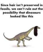 dinosaurs hair.jpg