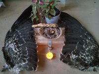 20241128_165338.jpg 20241128_165338.jpg