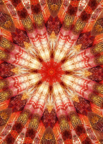 2025011909583219606_1737302349641.png 2025011909583219606_1737302349641.png