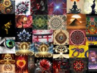 gandr-1737300726583.jpg gandr-1737300726583.jpg