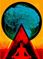 077edd8a8c37ca0654647db791edb9f5.jpg 077edd8a8c37ca0654647db791edb9f5.jpg