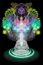 00c0ebfead1aeb94c19d56add5438fd6.jpg 00c0ebfead1aeb94c19d56add5438fd6.jpg