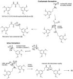 mescaline - carbon dioxide adducts - mechanisms.jpg