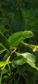 IMG_20250127_104331.jpg
