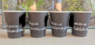 WhatsApp Image 2025-02-04 at 23.49.11.jpeg