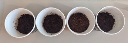 WhatsApp Image 2025-02-04 at 23.49.41.jpeg