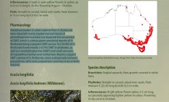 Screen Shot 2025-02-08 at 8.43.26 AM.JPG