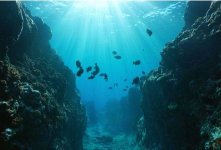 Trench.JPG Trench.JPG