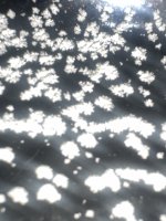 IMG_0844.jpeg IMG_0844.jpeg