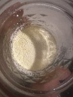 IMG_0884.jpeg IMG_0884.jpeg