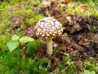 IMG_20220807_122123127.jpg IMG_20220807_122123127.jpg