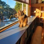 Mocha Jan 20 2025.jpg