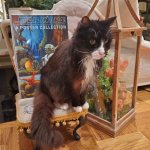 Ezra Dec 27 2024.jpg