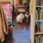 Mischa and Opal Nov 27 2024.jpeg