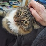 Smokey Robinson last visit Nov 3 2024.jpg