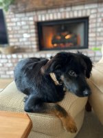 Gary Nov 24 2025.jpg