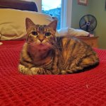 Zadie Dec 7 2024.jpg