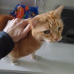 Kracken Apr 20 2025.jpeg