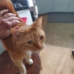 Charlie Brown Apr 20 2025.jpeg