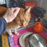 Redlin Apr 20 2025.jpeg