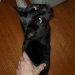 Jiji Apr 27 2025.jpg