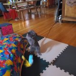 Boomie Apr 27 2025.jpg