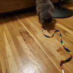 George emerges Apr 27 2026.jpg