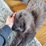 George Breakthrough Apr 27 2025.jpg