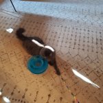 George Sun Slice 1 Apr 30 2025.jpg