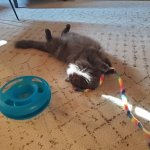 George Sun Slice 2 Apr 30 2025.jpg