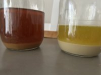 IMG_2675.jpeg