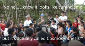 Cosmosynthesis Meme.jpg