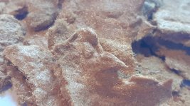 harmala HCl (3).jpg harmala HCl (3).jpg