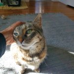 Zadie June 15 2025.jpg