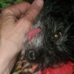 Bernie June 15 2025.jpg